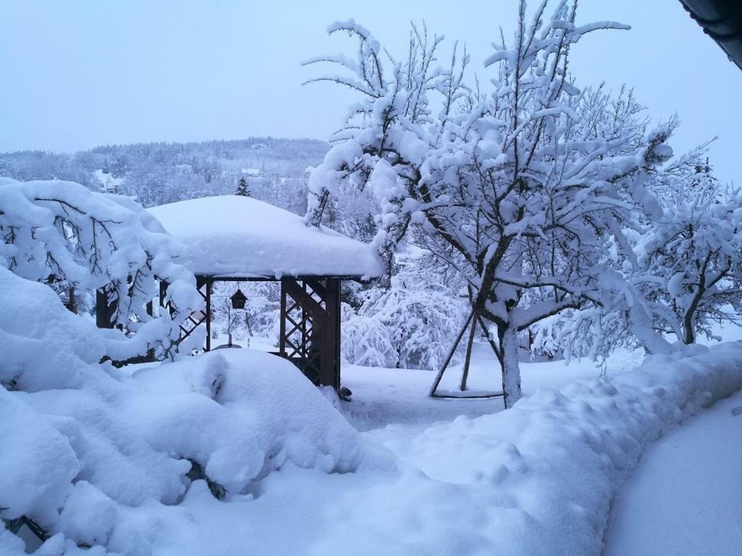 Apartment Rokys Rokytnice nad Jizerou Dış mekan fotoğraf